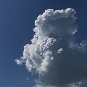 Meet your Posher, Melody